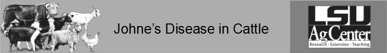 Johnes Disease in Cattle.png thumbnail